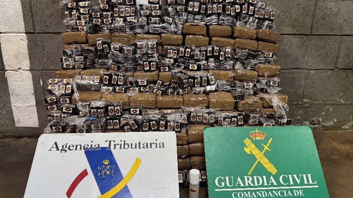 Paquetes de hachís intervenidos a la mujer detenida en Santa Cruz de Tenerife.