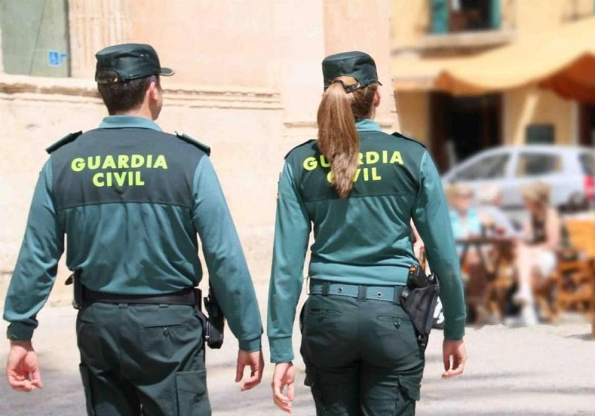 Detienen a un hombre por robar en cinco ocasiones utilizando la técnica del mataleón en Vecindario