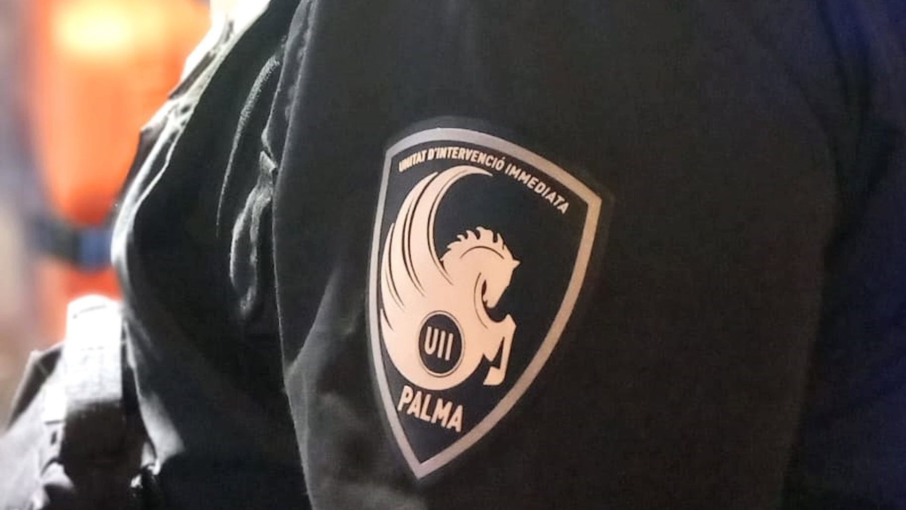 Dos hombres de origen colombiano arrestados por agredir a policías en Palma tras una pelea en la Soledad
