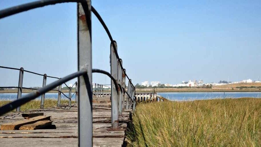Encuentran el cuerpo sin vida de una mujer en Palos de la Frontera