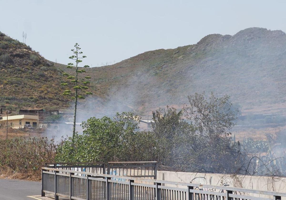 Incendio en Tenerife: arde una zona de la Finca España, en La Laguna