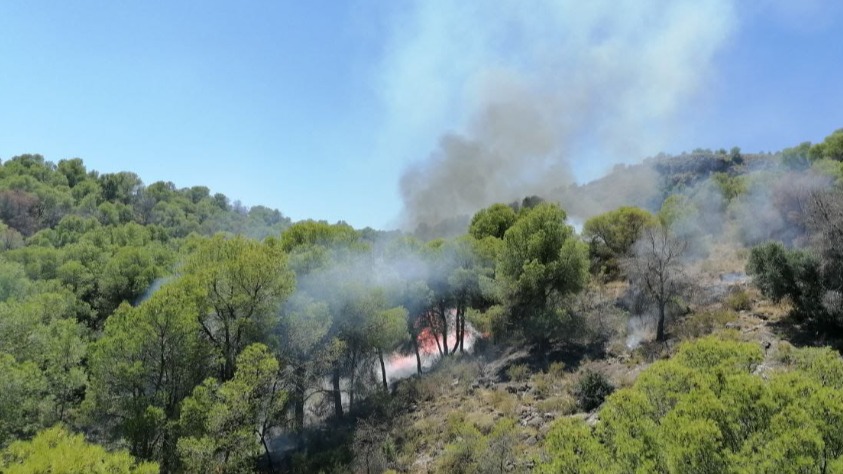 Efectivos trabajan en sofocar un incendio en Sierra Espuña