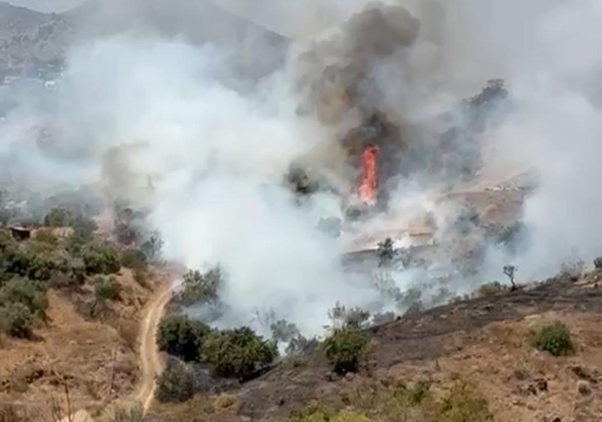Estabilizado el incendio forestal en el paraje Jarazmín, en Málaga capital
