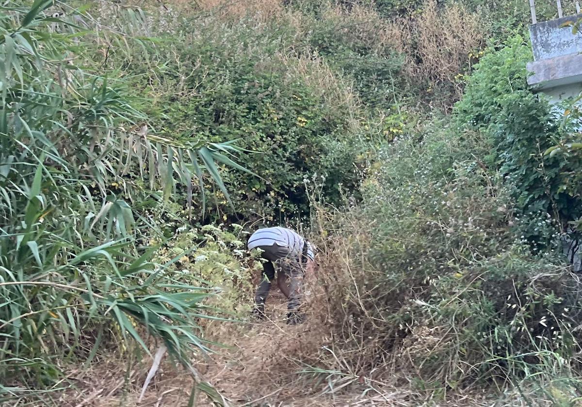 Intentó incendiar el monte en Moya durante la alerta de incendios en Gran Canaria: la Guardia Civil investiga el caso