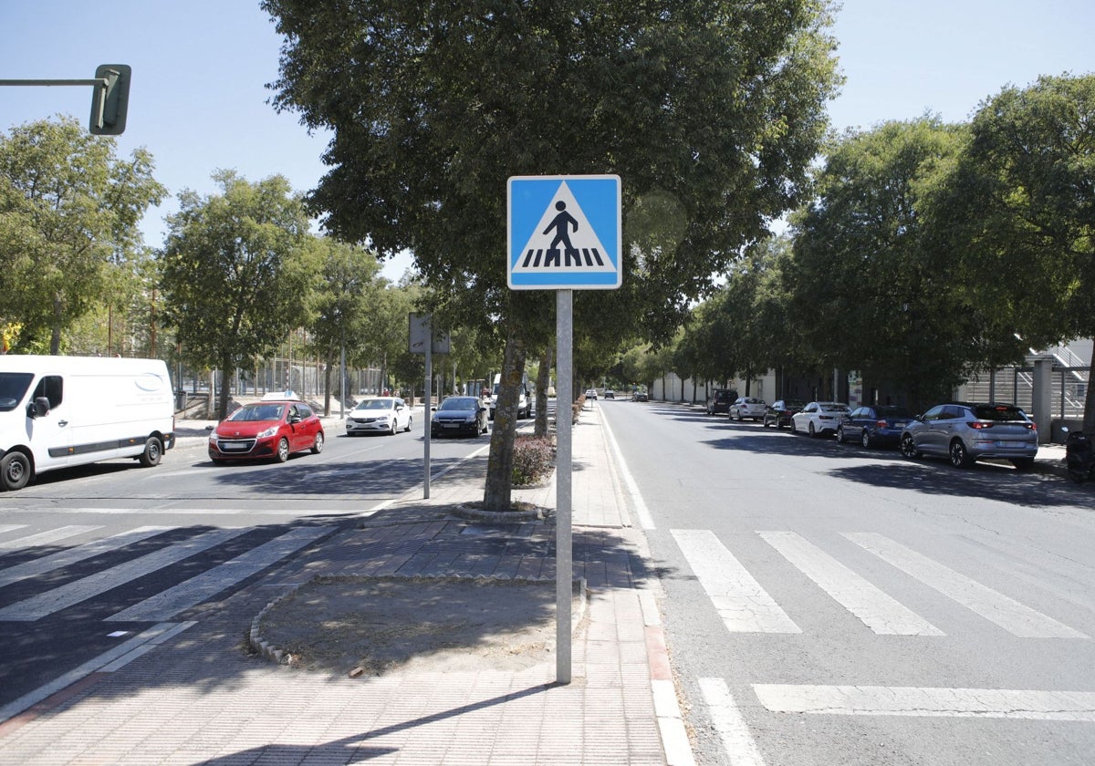 Portavoz de Vox en Cáceres critica falta de acción del Gobierno local tras atropello mortal