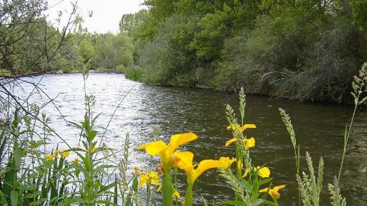 Río Porma.