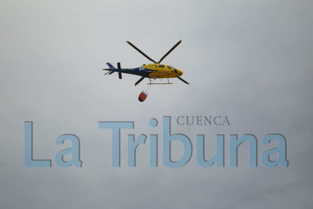 Controlado el incendio forestal en Cañizares