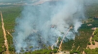 Incendio forestal activo en Aljaraque: fuego en Cañada del Pozo del Judío