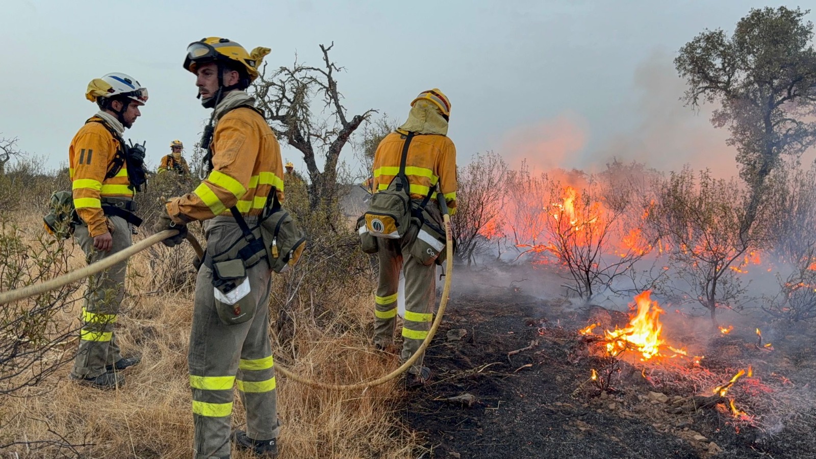 20 bomberos forestales de la Región salen hacia Extremadura para continuar la lucha contra los incendios