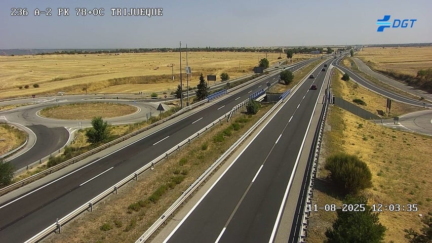 Un camionero borracho por la A-2