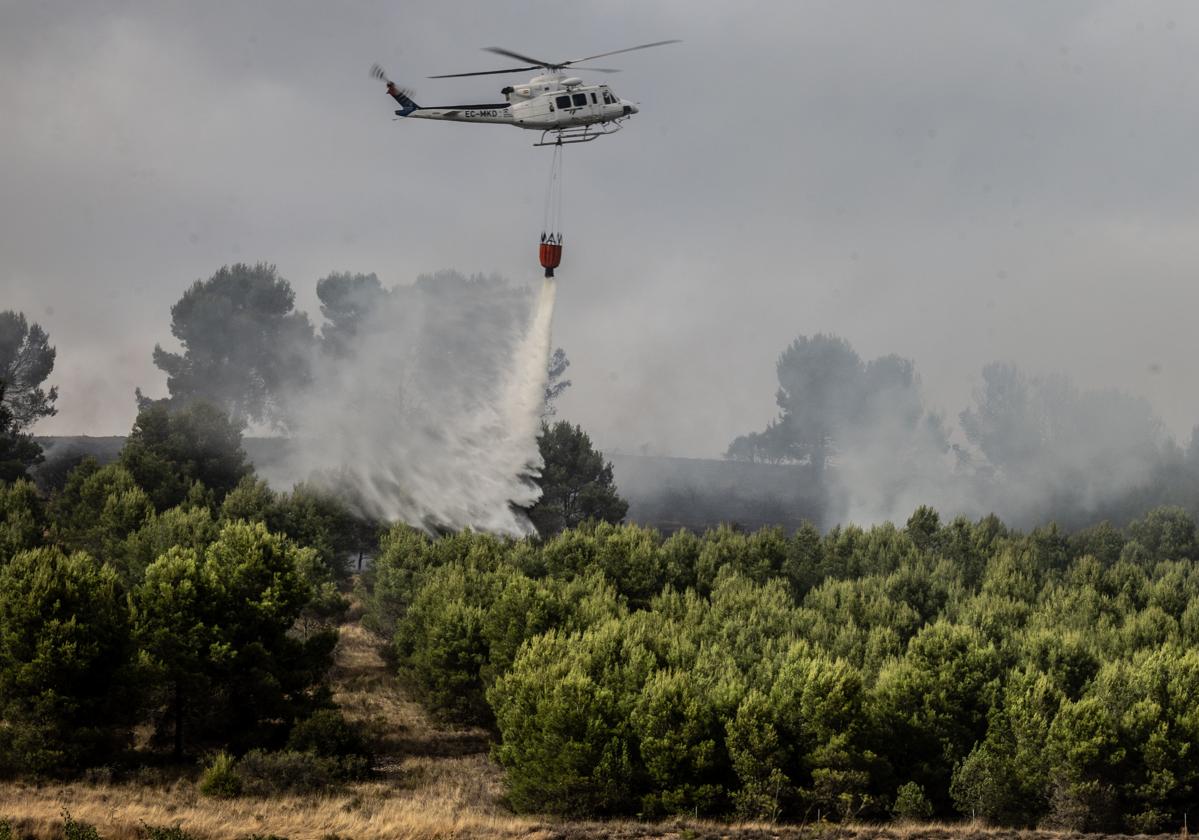Controlado el incendio en el Ecoparque de La Rioja: Bomberos remojan la zona afectada while a forest agent watches over the perimeter.