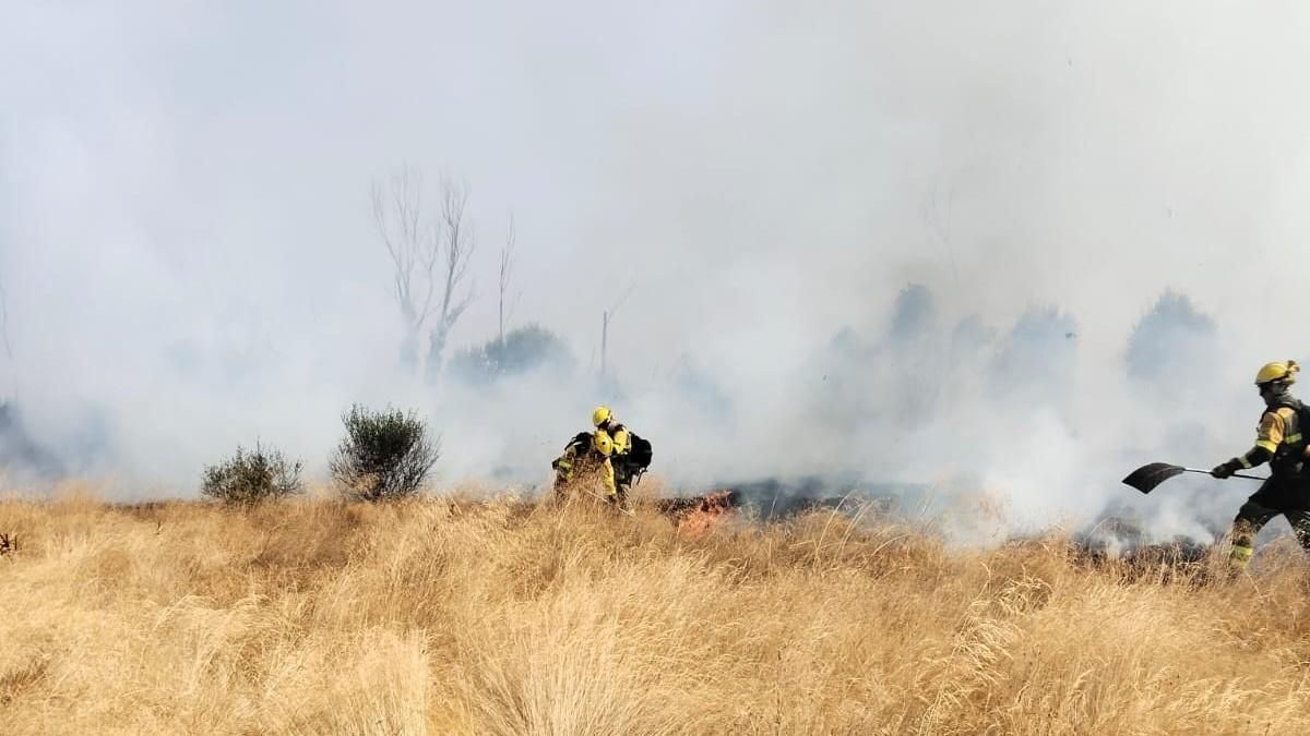Agentes de las brigadas Brif estatales en el incendio de Villamontán de la Valduerna.