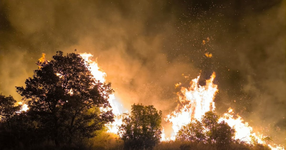 Controlado un incendio de vegetación que quema en Castell de Mur desde el domingo por la noche