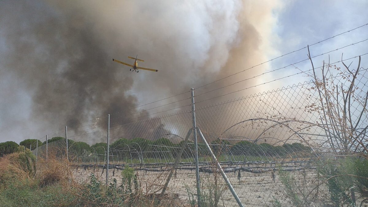 Sin viento pero con calor extremo: Incendio en Rociana según Infoca
