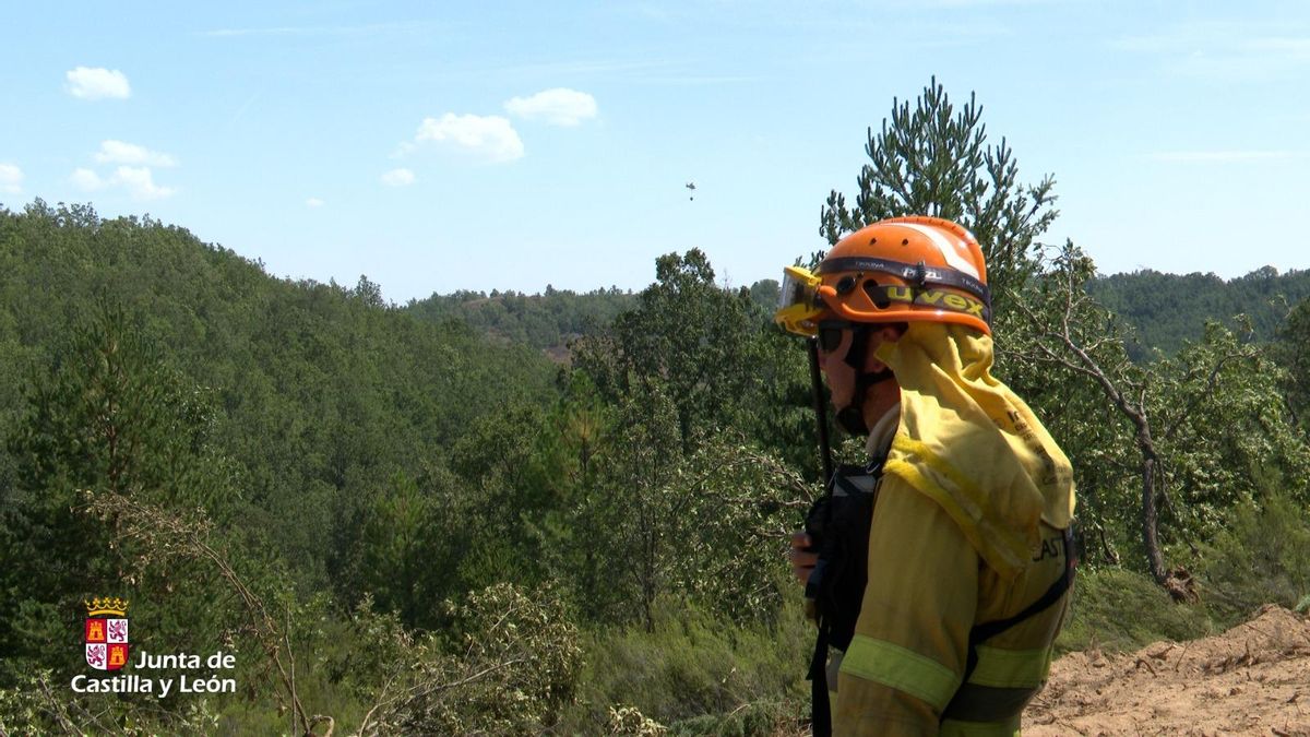 Imagen de archivo de un bombero forestal.