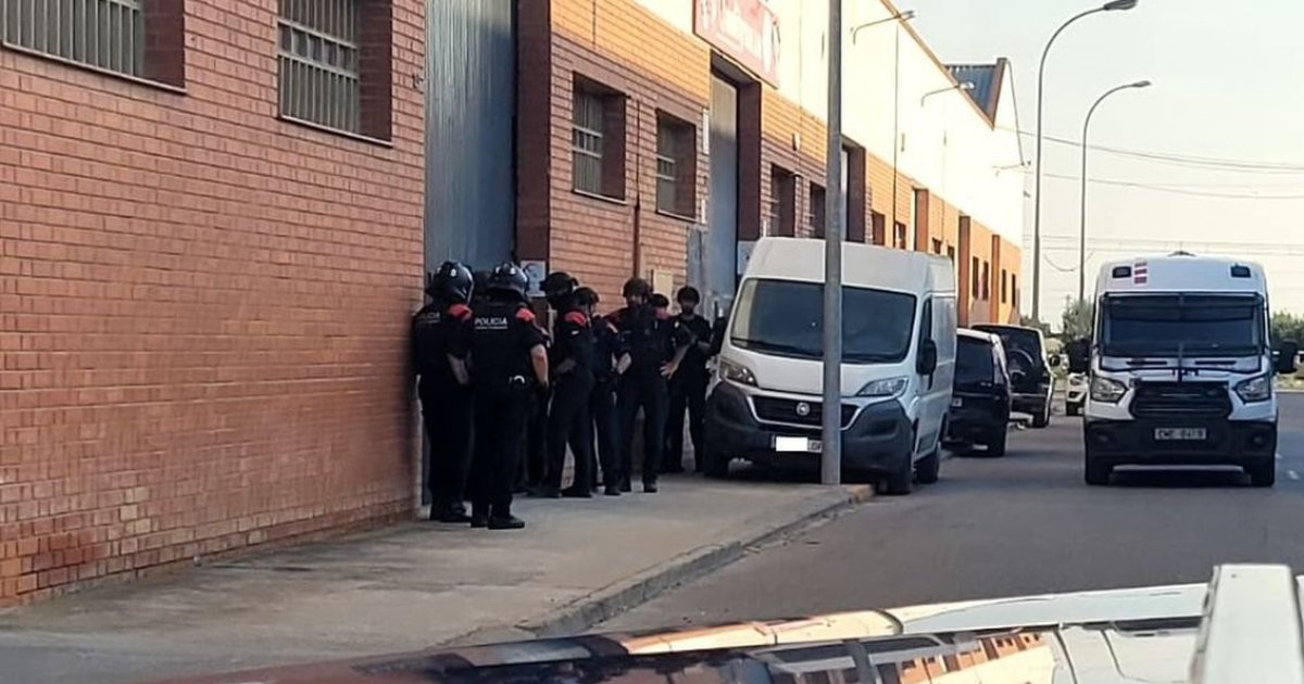 Desmantelan dos plantaciones de marihuana en Golmés y Bellpuig: dos detenidos por delitos contra la salud pública