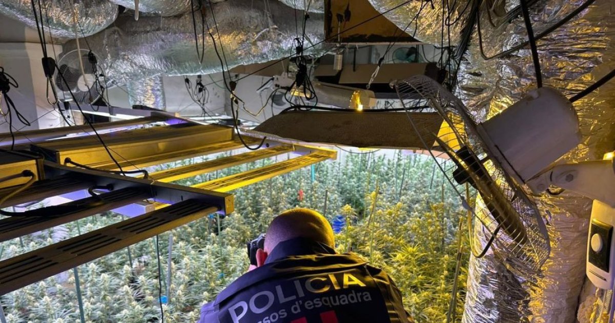 Los narcos se mudan a pueblos pequeños