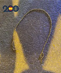 Cordón de oro robado (foto: PN)