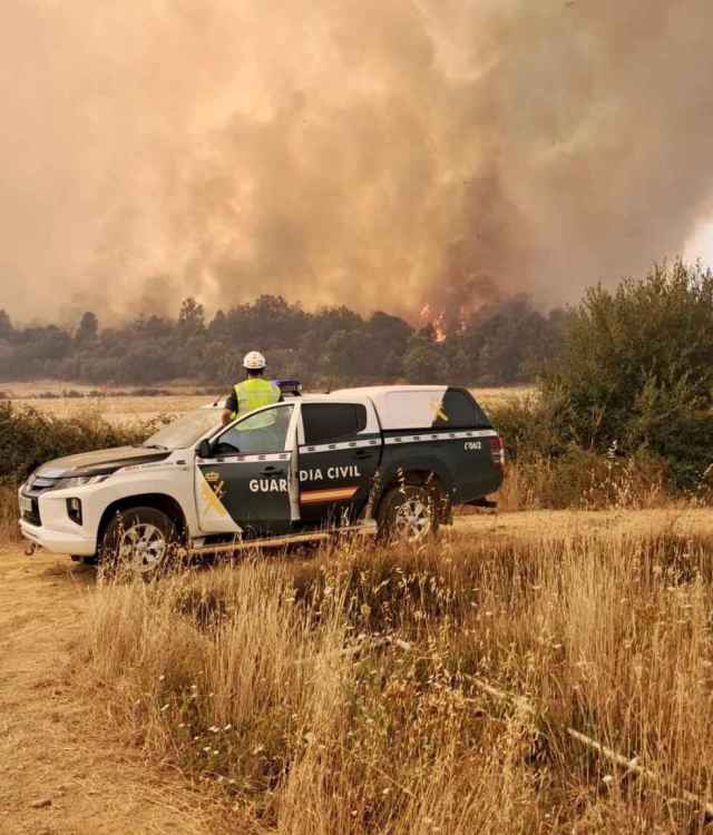 Detenido un varón por incendio forestal en Zamora que afectó a miles de hectáreas.