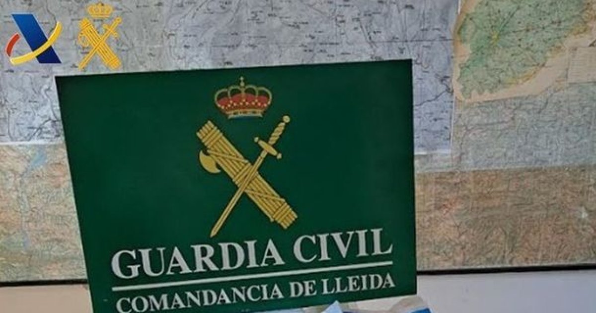 Les interceptan con 34 kilos de opiáceos en la aduana y dicen que es vitamina C