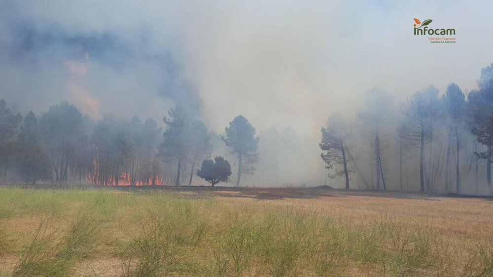 El incendio en Almódovar del Pinar ha sido controlado gracias a la rápida intervención de los bomberos