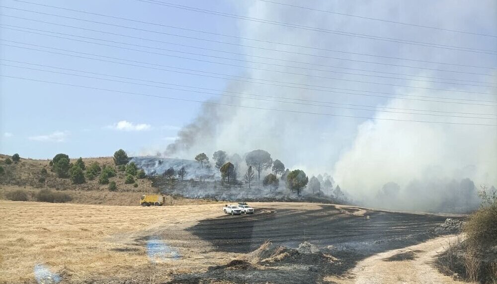 Arden 7 hectáreas en el fuego de ayer entre Arroyo y Zaratán