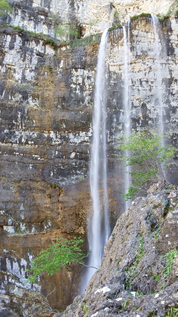 spot_img