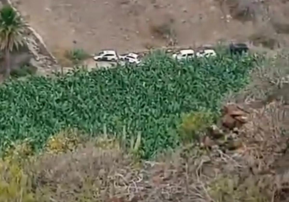 Hallan cadáver en barranco de Guía: Guardia Civil espera resultados forenses para identificarlo