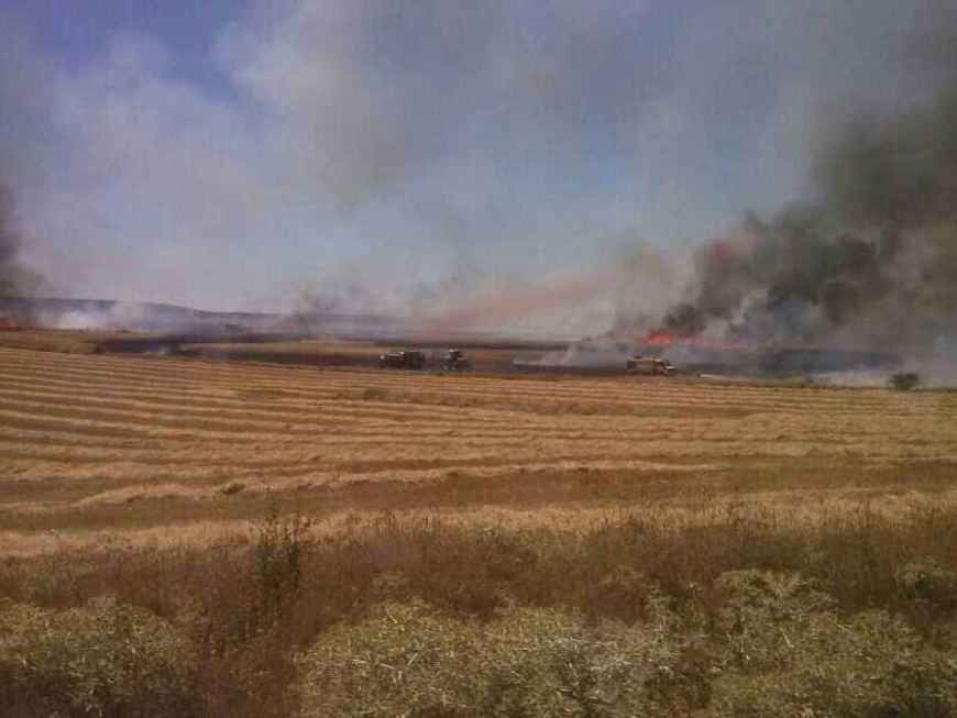 Incendio en Ólvega calcina 16 hectáreas, pero es controlado por INFOCAL