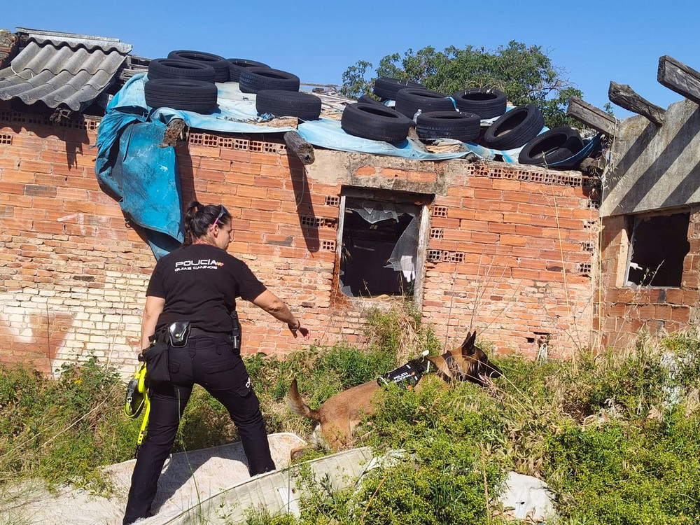 Más medios en la búsqueda de la mujer desaparecida