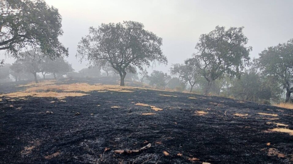 Los bomberos actúan en un incendio forestal en Alosno
