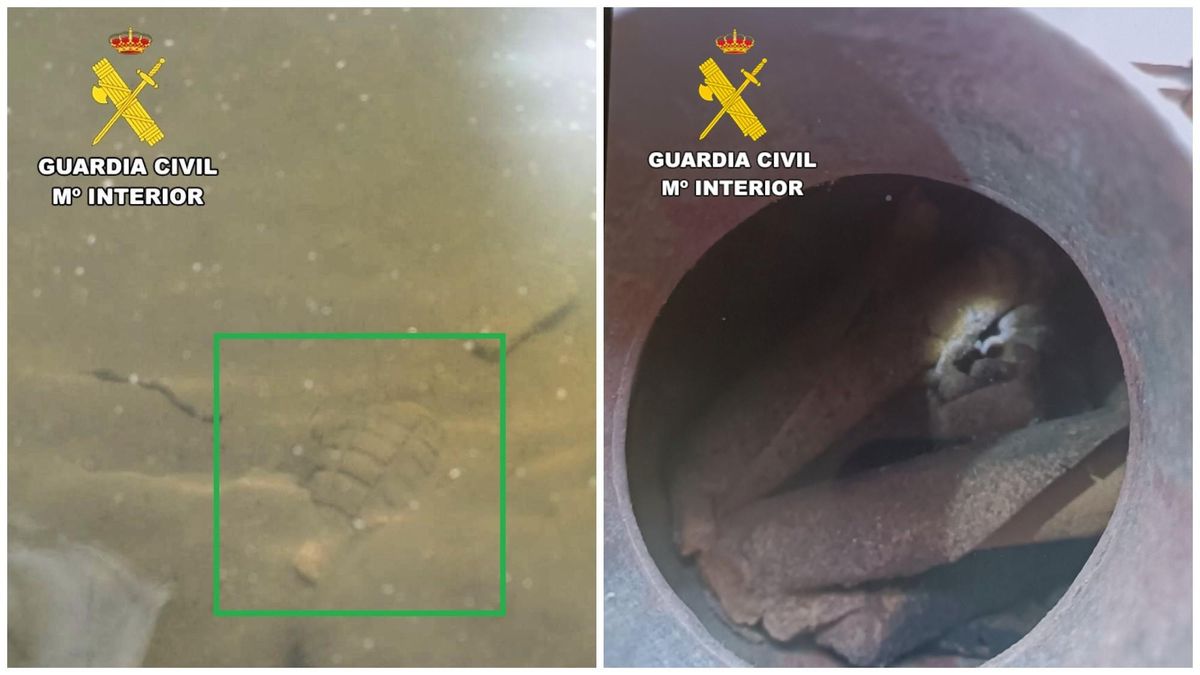 La granada y los cartuchos de dinamita desactivadas por la Guardia Civil en la Montaña de León.
