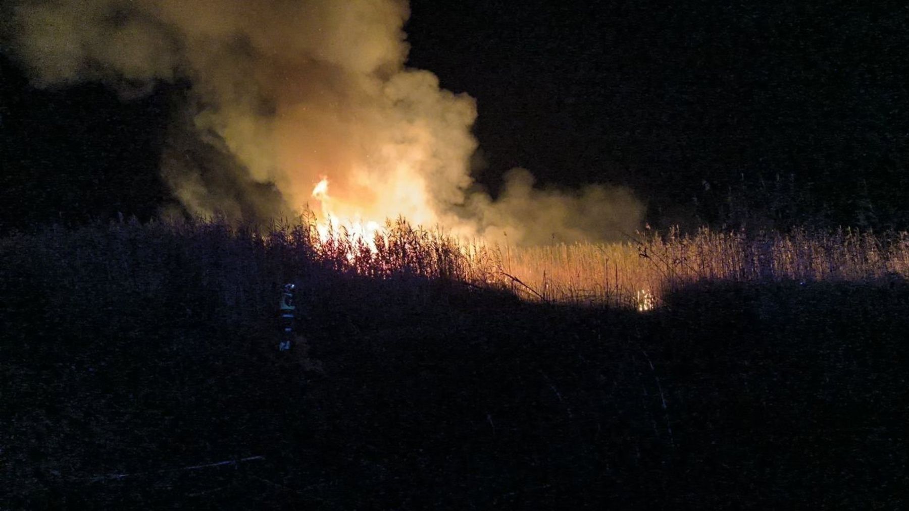 Extinguidos todos los focos del incendio intencionado de s’Albufera