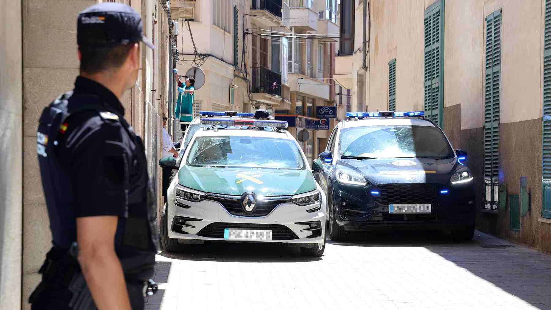 La jueza deja en libertad al detenido por agredir al hombre hallado muerto en una barraca en Manacor