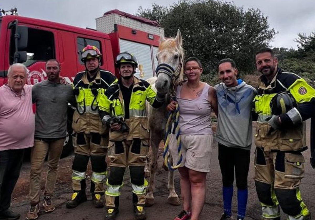 Rescatan a caballo que cayó a un barranco en La Laguna: Bomberos y vecinos logran sacarlo a salvo