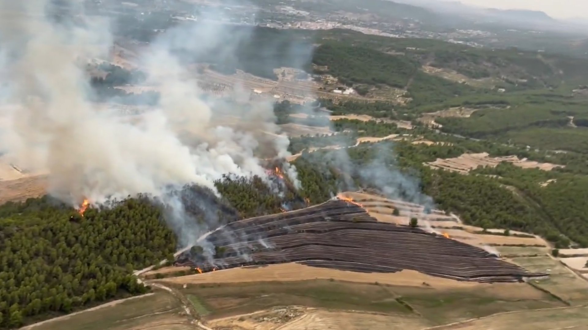 Tres incendios forestales arrasan 32,5 hectáreas en la Región de Murcia