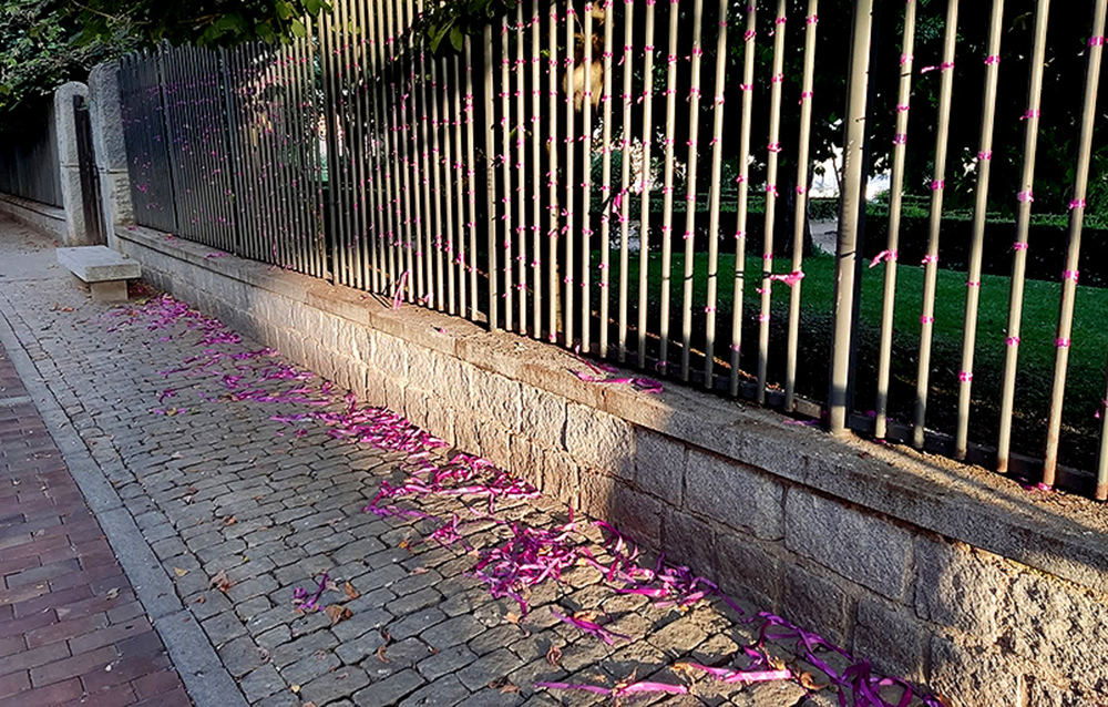 Actos vandálicos en el paseo de San Roque