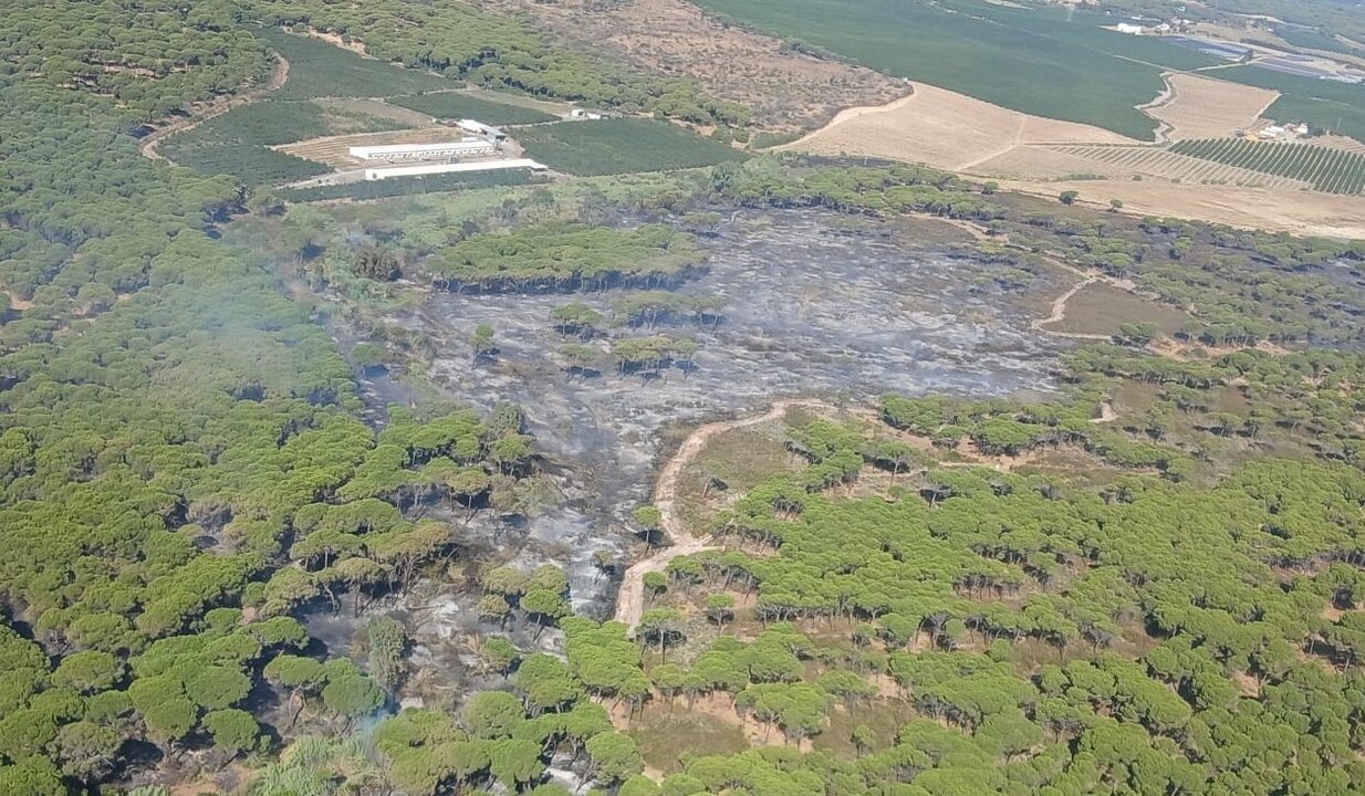 Aumentan los medios aéreos para combatir el incendio en un paraje de Gibraleón