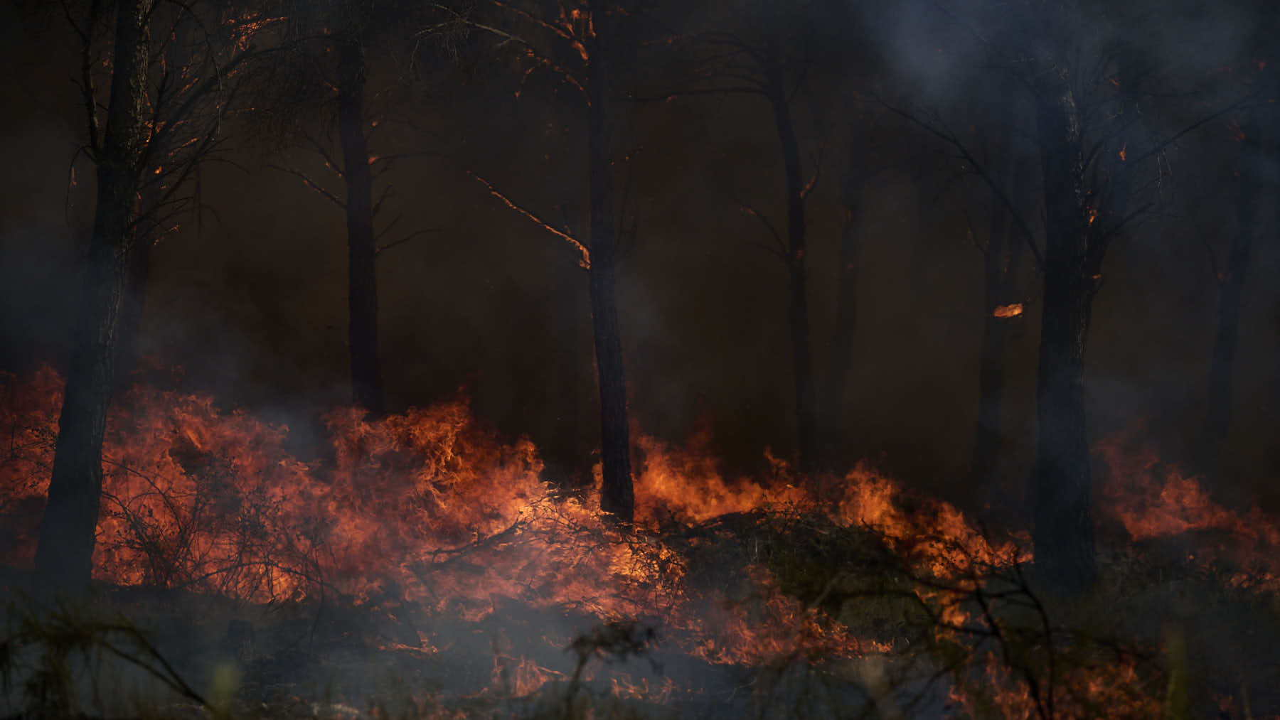 El incendio forestal declarado este sábado sigue sin control y mantiene en vilo a varios pueblos de Navarra