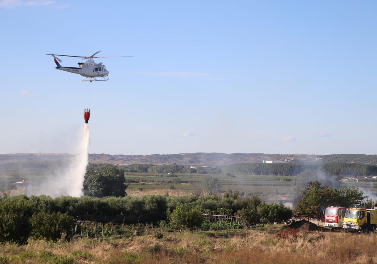 Controlan incendio agrario en Alfaro: propietario de parcela atendido por ambulancia