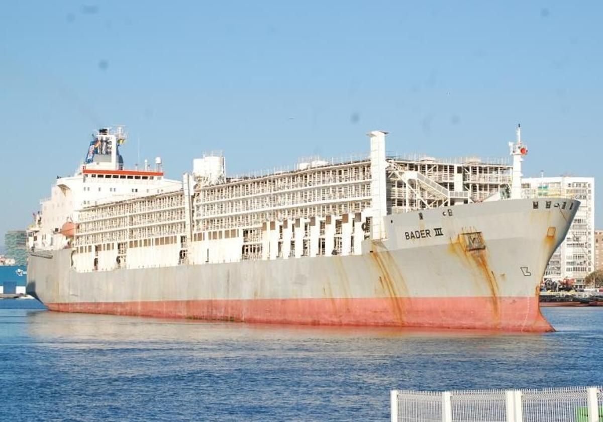 Así es el buque lleno de vacas que destapó toda la red de narcotransportistas que pasaba por Canarias