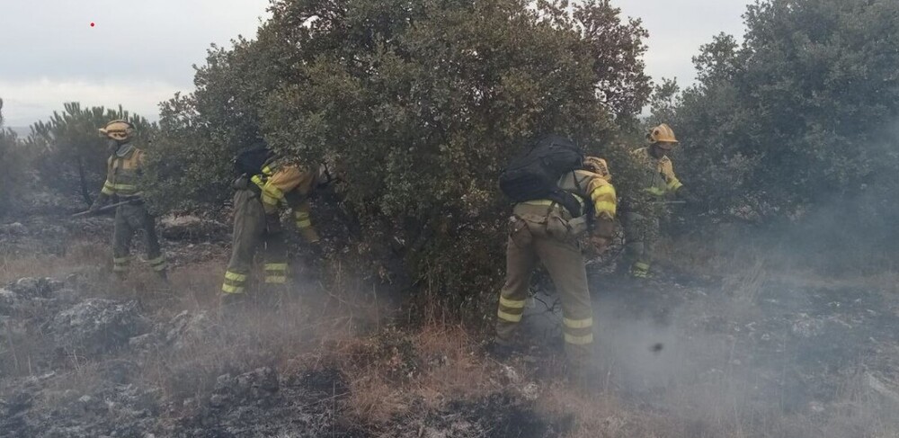 Más de 20 medios en la extinción de un incendio en Fuentidueña
