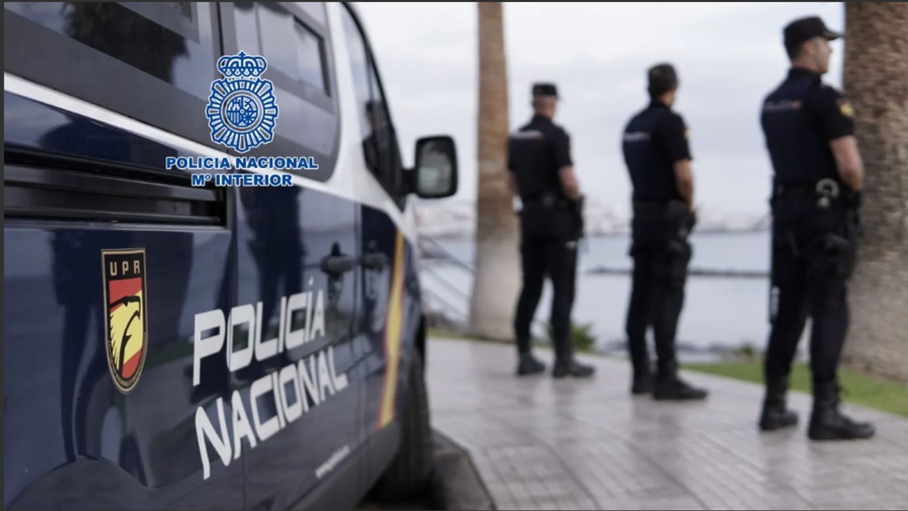 Detenido un trabajador indio de la Playa de Palma por enseñar un vídeo porno a un niño de nueve años