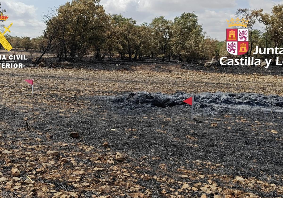 Dos hombres irán ante el juez por provocar un incendio que calcinó 53 hectáreas en Burgos
