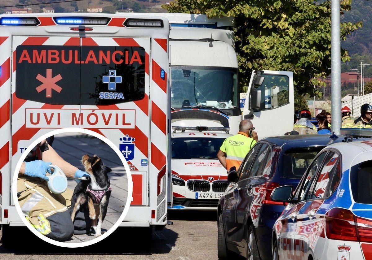Hallan muerto a un camionero en el polígono de Bankunión, en Gijón