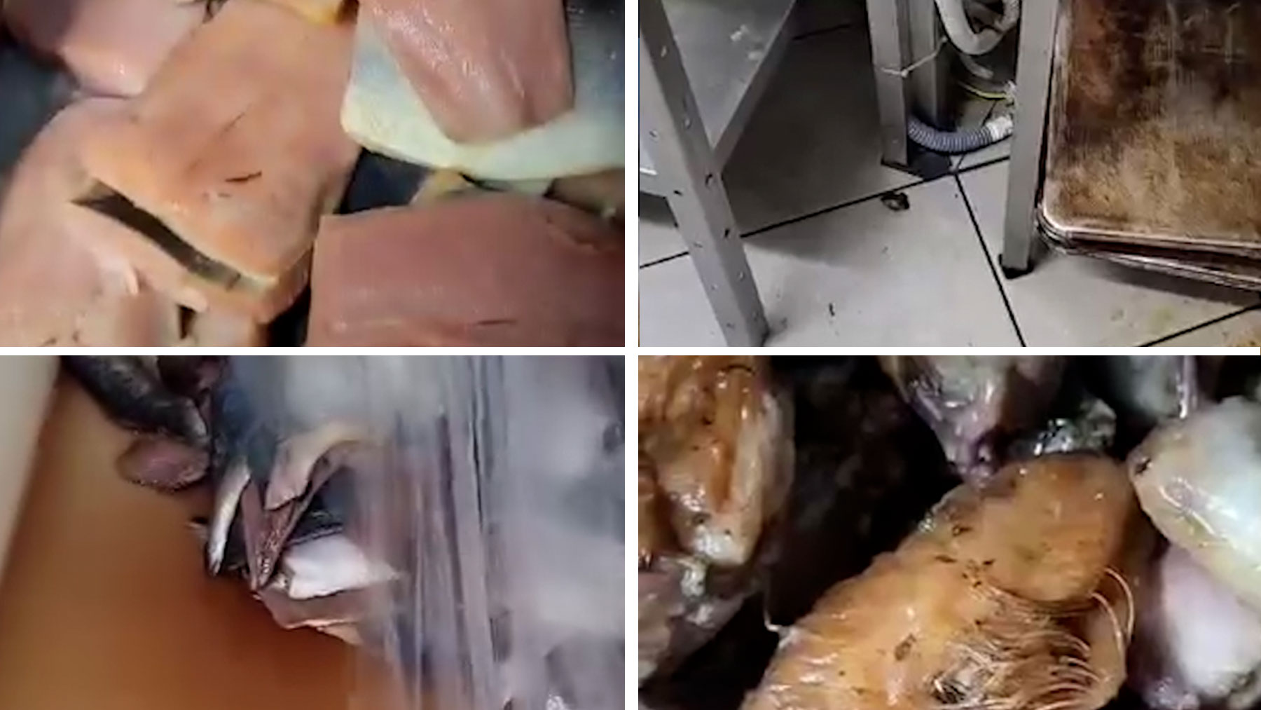 Ex trabajadores denuncian condiciones insalubres en las cocinas de un hotel de Mallorca: cucarachas, moho y alimentos en mal estado.