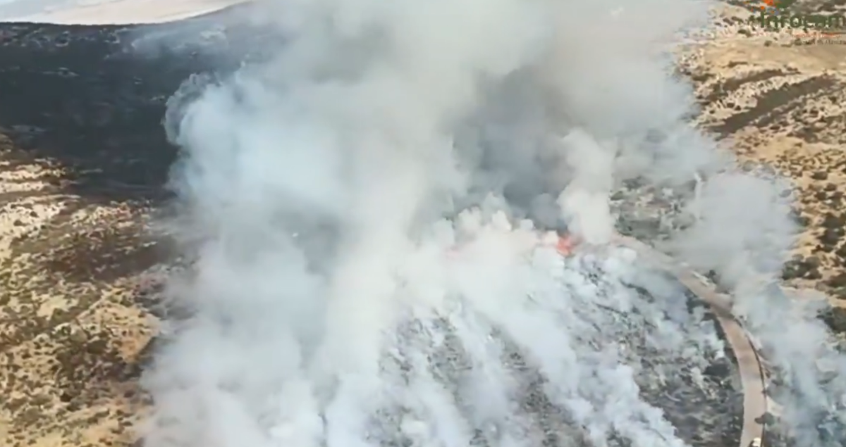 Fuerte despliegue para combatir incendio de pastos en Puertollano: 19 medios y 77 personas en acción