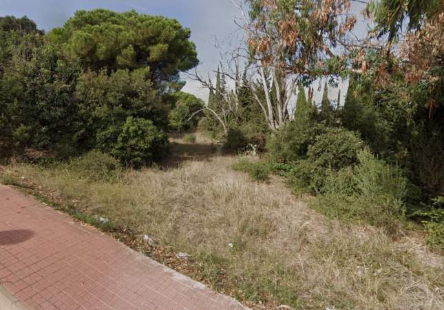 Hallan cadáver en zona boscosa de Arenys de Mar: investigan las causas de la muerte