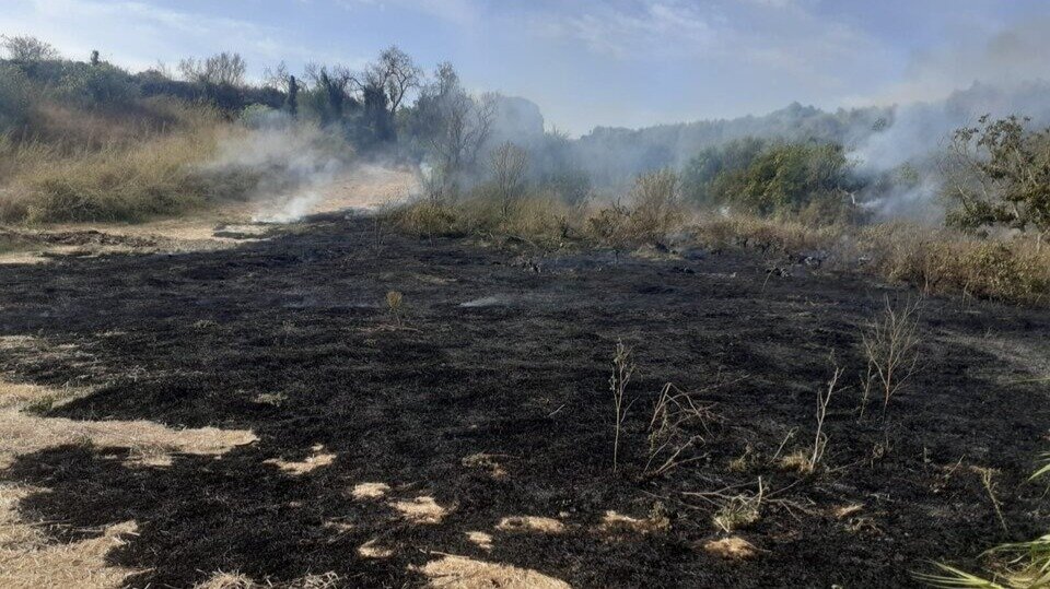 Incendio en el paraje Valdeperdido de Bonares moviliza a equipos de emergencia