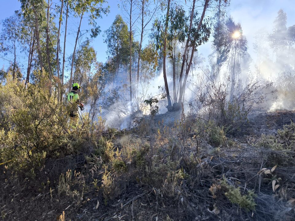 De escasos minutos, Bomberos trabajando para apagar el incendio. Fuente: Mónica